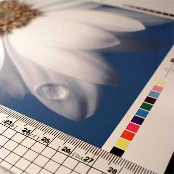 printing